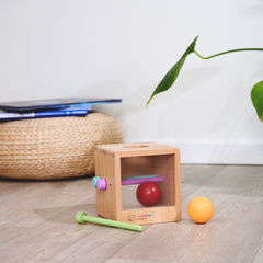 Eichhorn Montessori Ahşap Top Atma Kutusu