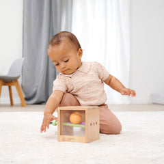 Eichhorn Montessori Ahşap Top Atma Kutusu