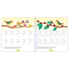 Eolo Terzi Kuşunun Dikişleri Çizgi Kitabı