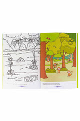 Eolo Etkinliklerle Dikkat Geliştirme