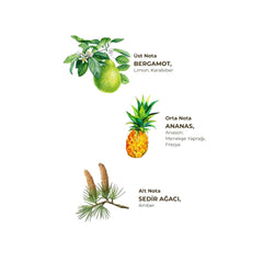 Eyüp Sabri Tuncer Okyanus Kolonyası 150ml Silindir Pet Şişe Sprey