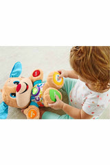 Fisher Price Lnl Yaşa Göre Gelişim Eğitici Köpekçik Fpn79
