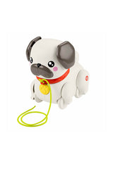 Fisher Price Minik Dostumla Yürüyüş Htw94