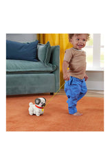 Fisher Price Minik Dostumla Yürüyüş Htw94