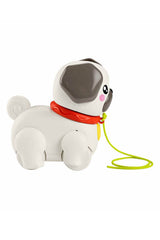 Fisher Price Minik Dostumla Yürüyüş Htw94