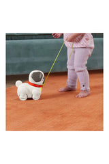 Fisher Price Minik Dostumla Yürüyüş Htw94