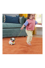 Fisher Price Minik Dostumla Yürüyüş Htw94