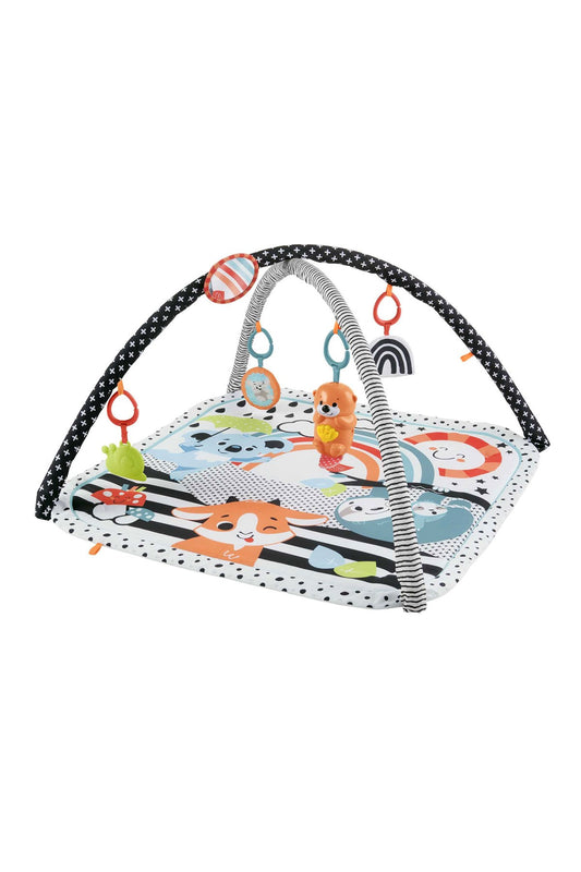 Fisher Price Neşeli Hayvanlar 3’ü 1 Arada Jimnastik Merkezi Hbp41