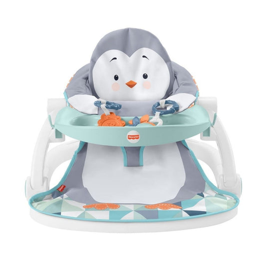 Fisher Price Tepsili Ana Kucağı