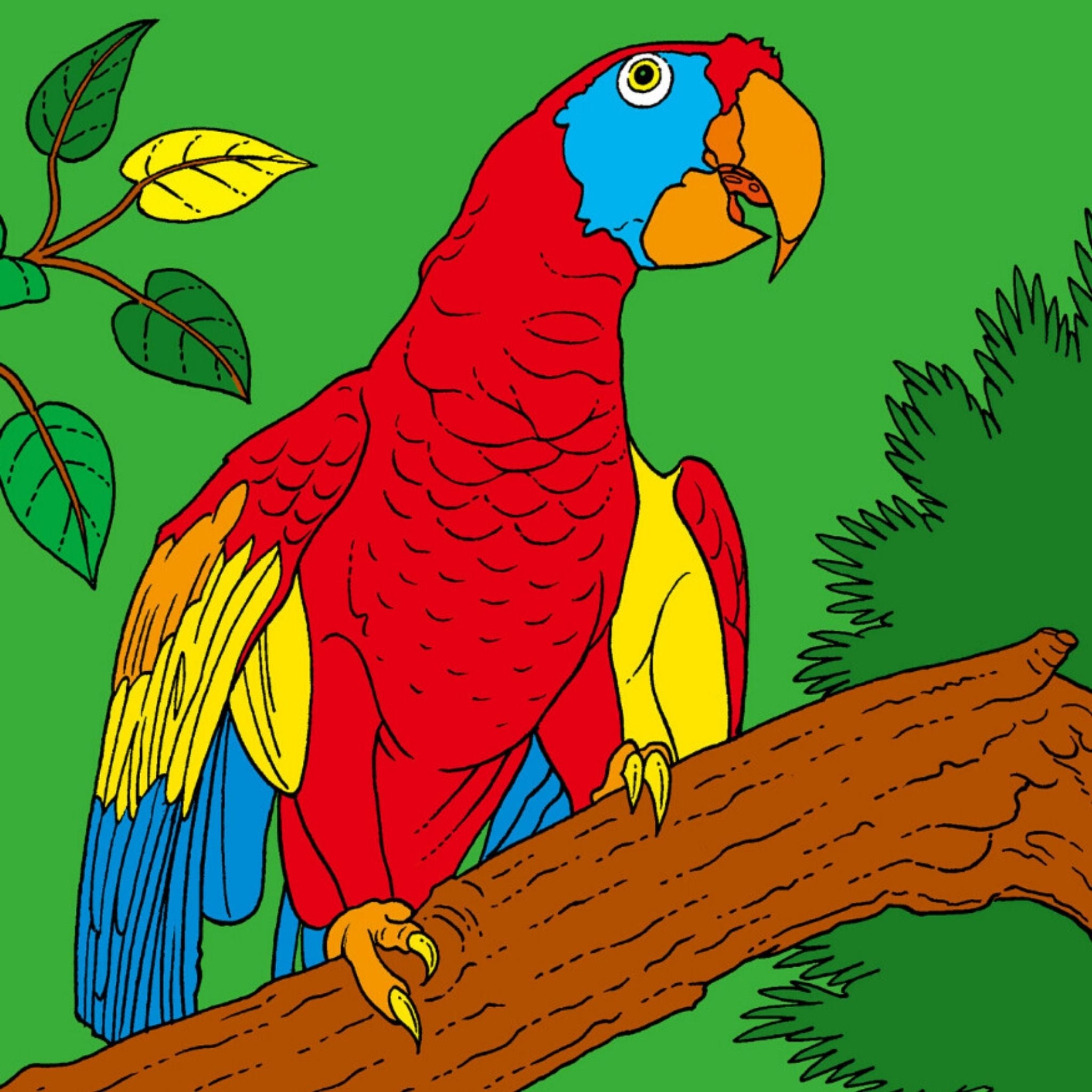Galt Colouring Book 5 Yaş+ - Welcome Baby