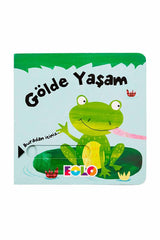 Eolo Gölde Yaşam