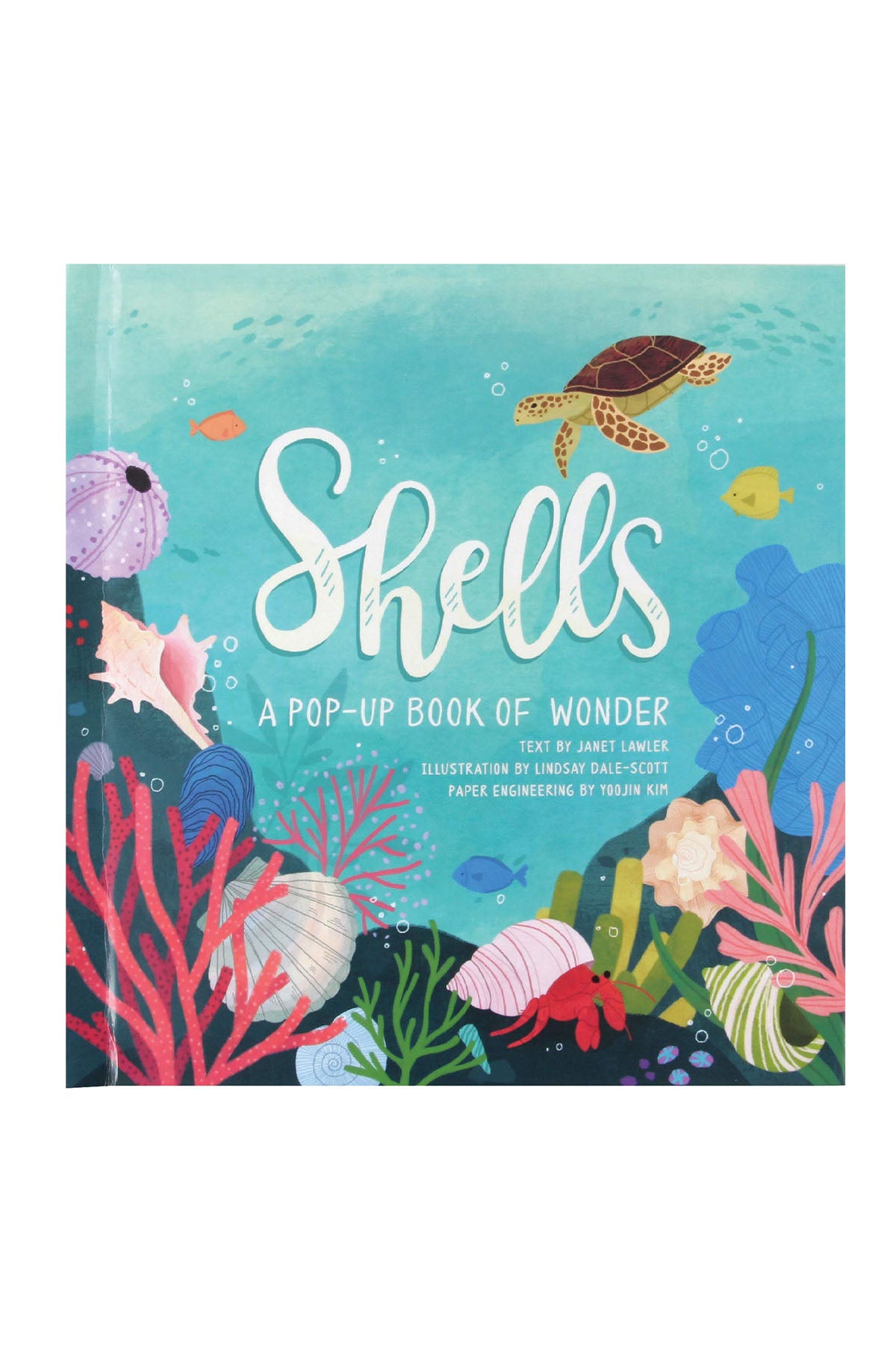 Jumping Jack Shells: A Summer Pop-Up Book