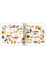 Eolo Kedi Koleksiyonu