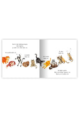 Eolo Kedi Koleksiyonu