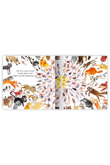 Eolo Kedi Koleksiyonu