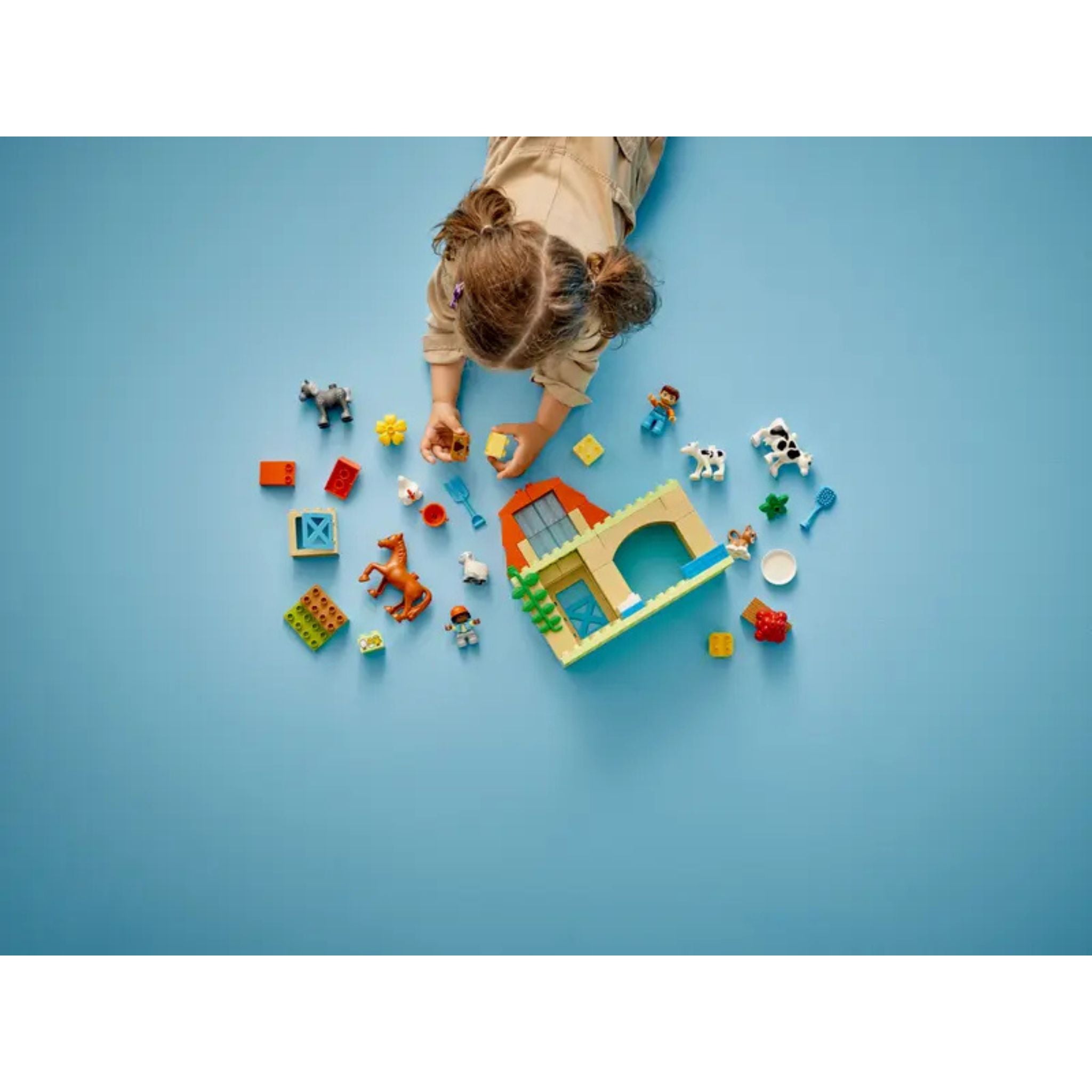 Lego Duplo Town Çiftlikte Hayvanların Bakımı 10416 Yapım Seti (74 Parça)