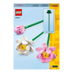 Lego Lel Flowers Lotus Çiçekleri 40647