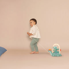 Little Smoby Kaplumbağa Top Oyunu