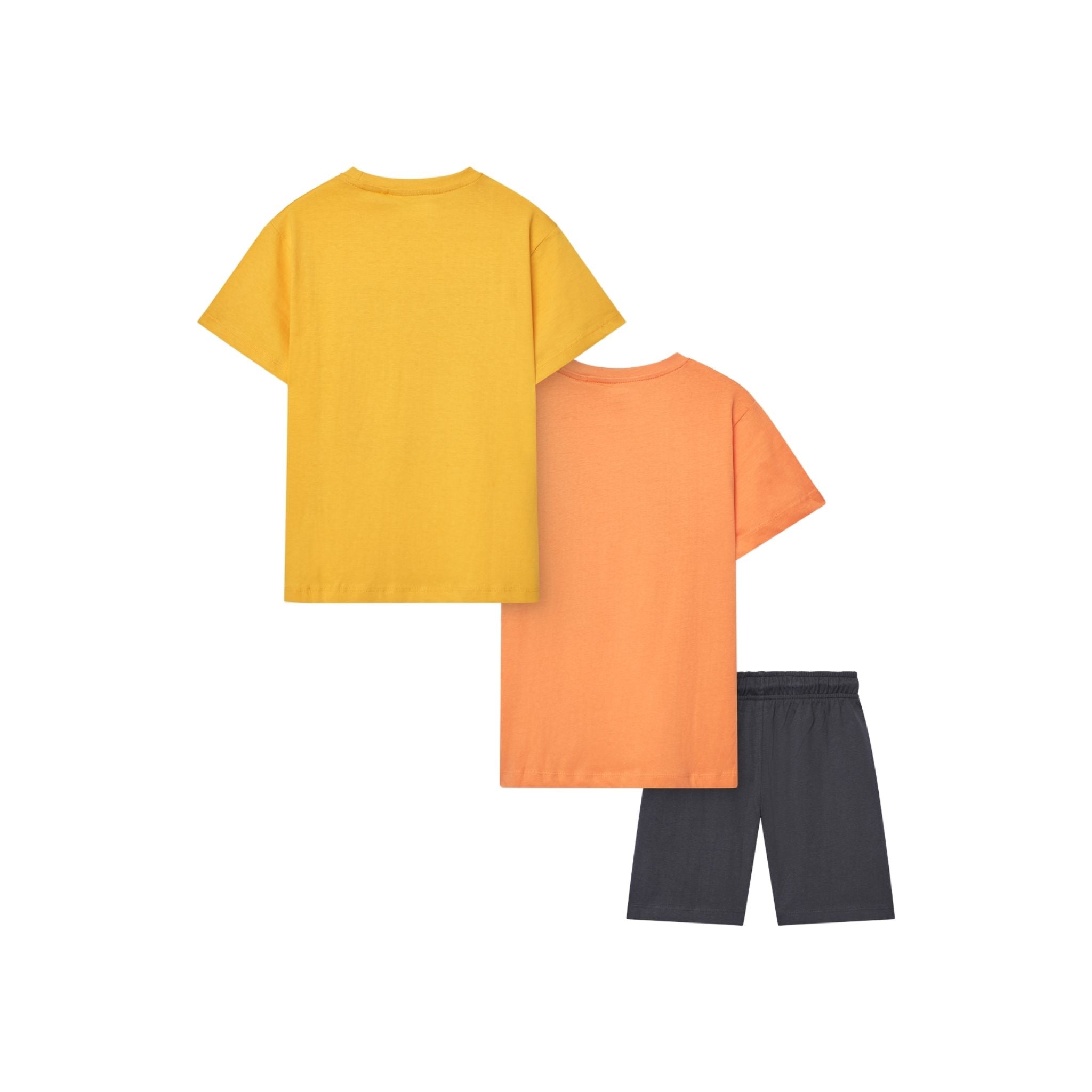 Losan Erkek Çocuk 3'lü Şort Takım 5