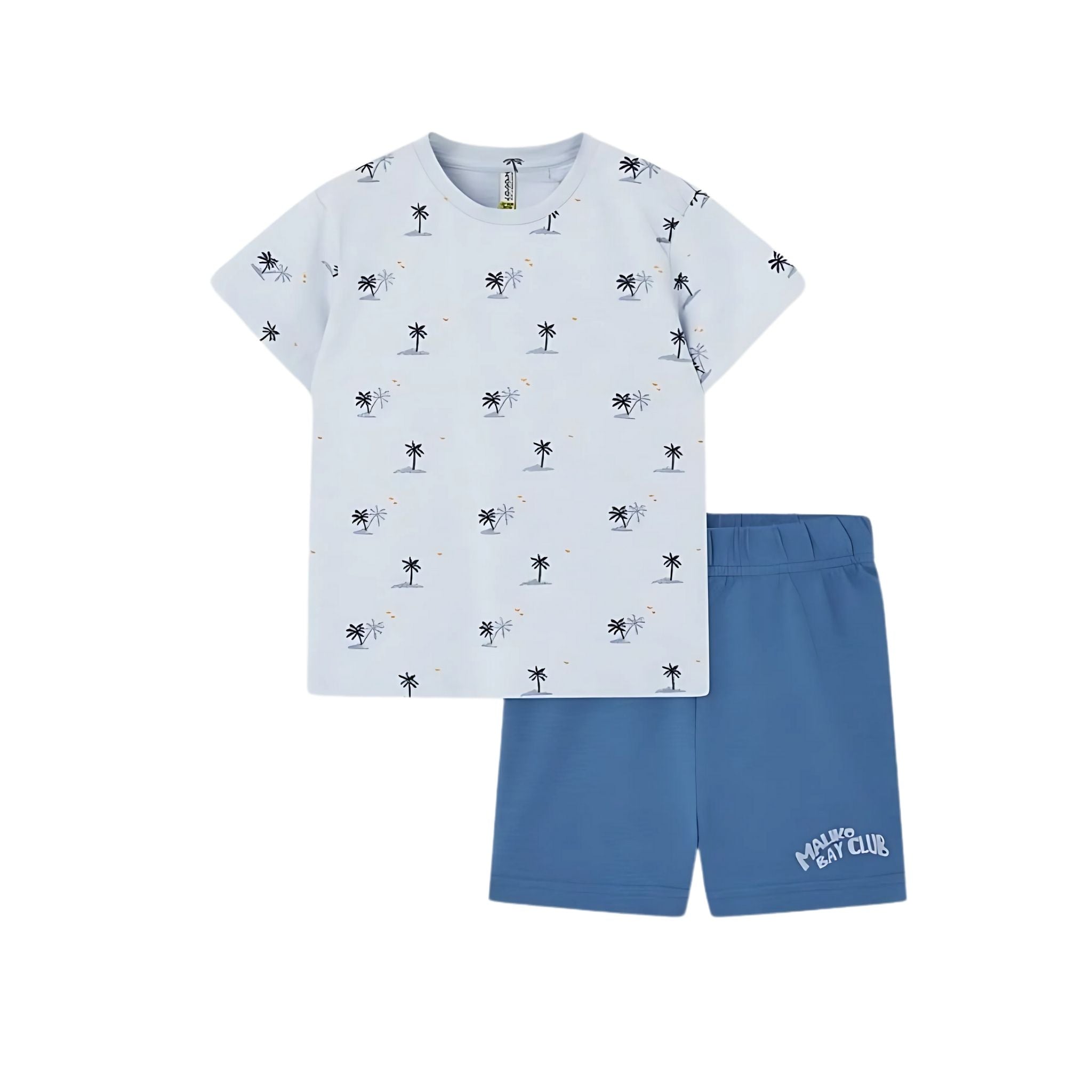 Losan Erkek Çocuk Tshirt Şort Takım 2