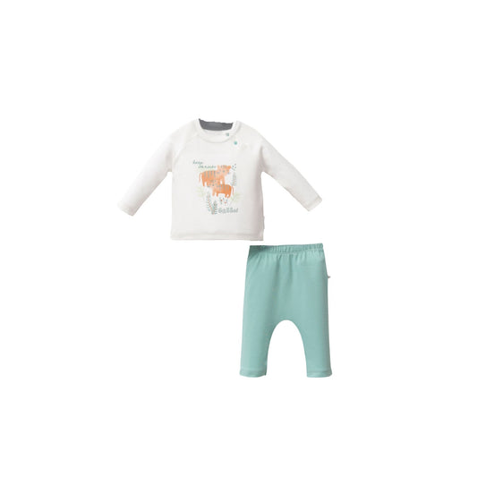 Moi Noi Palmiye İkili Takım