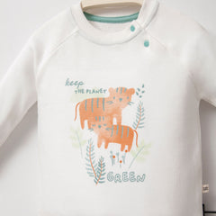 Moi Noi Palmiye İkili Takım