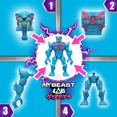 MrBeast Hybrids Tekli Paket 24901