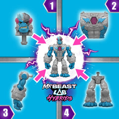 MrBeast Hybrids Tekli Paket 24901