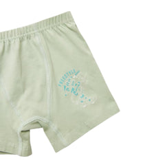 Natuline 2'li Erkek Çocuk Likralı Boxer