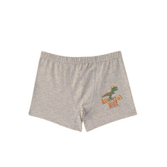 Natuline 3'lü Erkek Çocuk Rıde Your Bıke Desenli Likralı Boxer