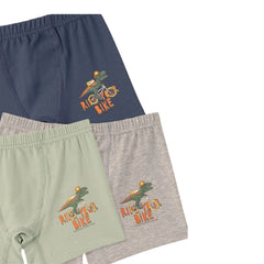 Natuline 3'lü Erkek Çocuk Rıde Your Bıke Desenli Likralı Boxer