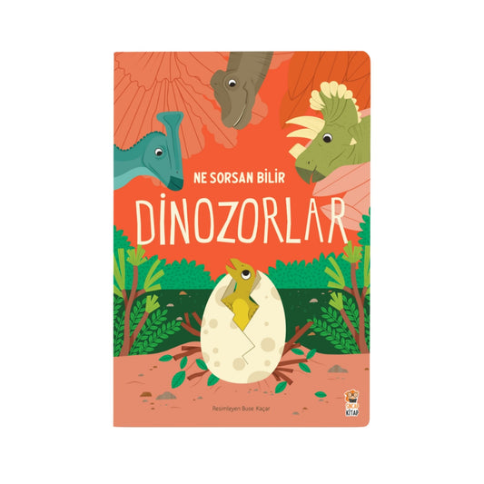 Sincap Kitap Ne Sorsan Bilir Minik Benim İlk Dinozorlar Kitabım