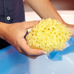 OkBaby Doğal Banyo Süngeri Orta