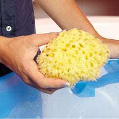 OkBaby İnce Dokulu Doğal Banyo Süngeri Büyük