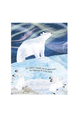 Oxford Childrens Book The Lights That Dance In The Night