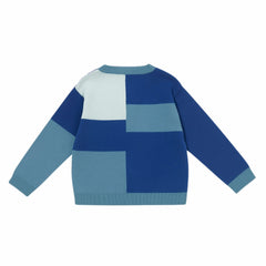 Patique Renk Bloklu Hırka Erkek