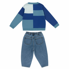 Patique Renk Bloklu Hırka Erkek