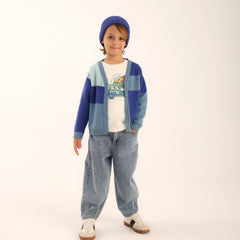 Patique Renk Bloklu Hırka Erkek