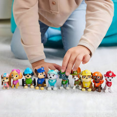 Paw Patrol Hediye Figür Seti