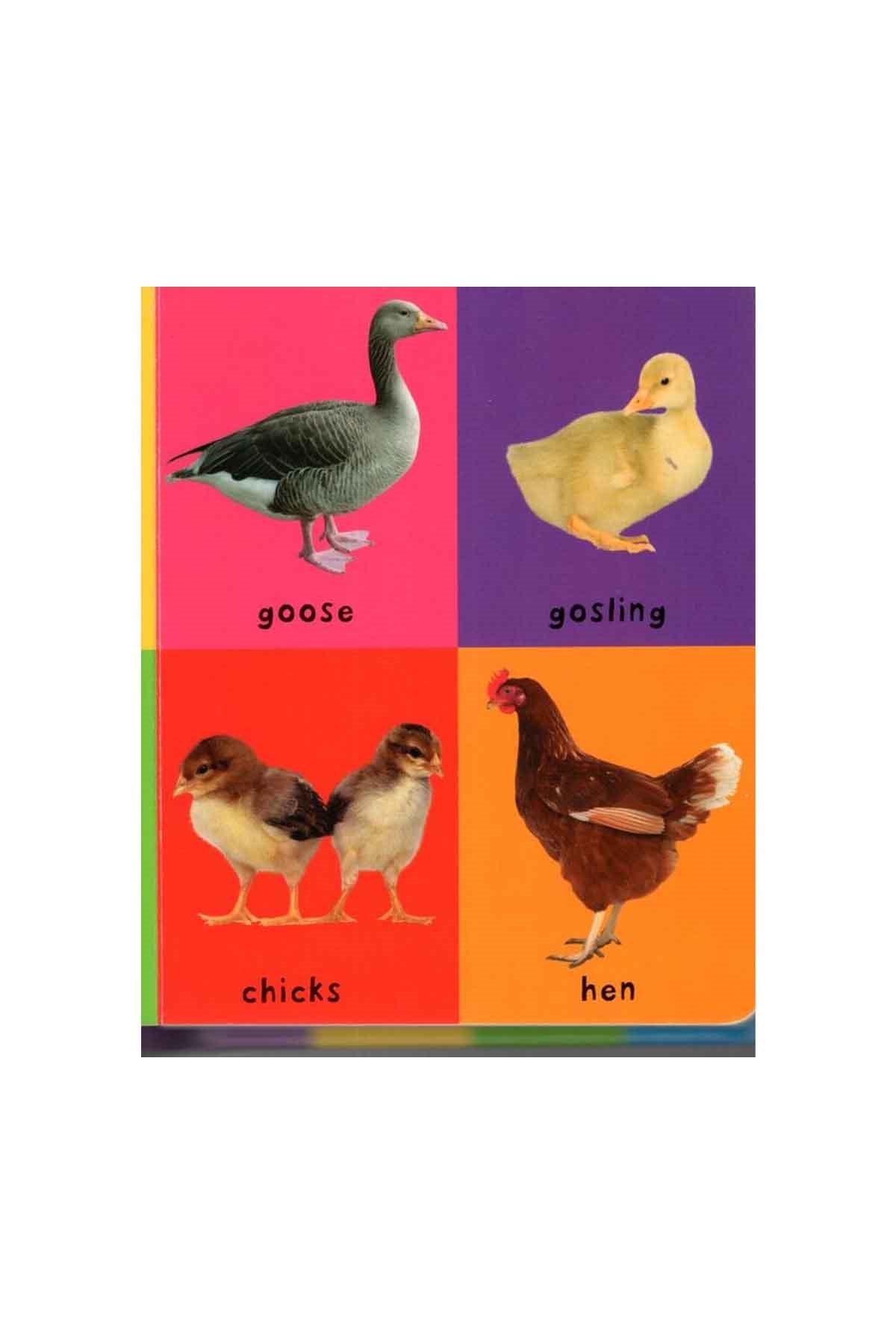 Priddy Books First 100 STT Farm Words - Welcome Baby