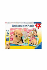 Ravensburger 3x49 Parçalı Puzzle Puppies