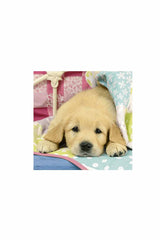 Ravensburger 3x49 Parçalı Puzzle Puppies