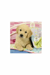 Ravensburger 3x49 Parçalı Puzzle Puppies