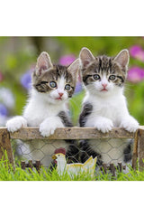 Ravensburger 3x49 Parçalı Puzzle Tiger Babies