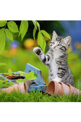 Ravensburger 3x49 Parçalı Puzzle Tiger Babies