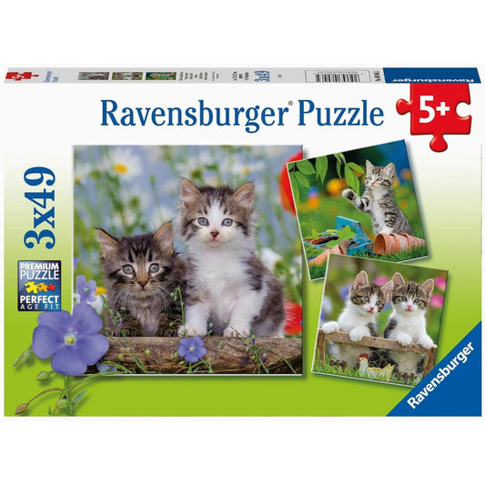 Ravensburger 3x49 Parçalı Puzzle Tiger Babies