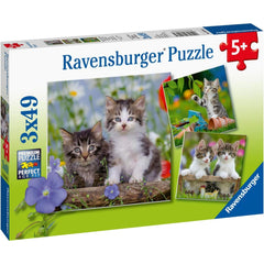 Ravensburger 3x49 Parçalı Puzzle Tiger Babies - Welcome Baby