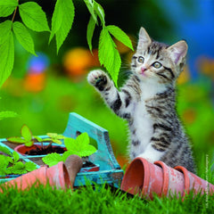 Ravensburger 3x49 Parçalı Puzzle Tiger Babies - Welcome Baby