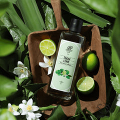 Rebul Lime Edc 250ml Kolonya Cam Şişe