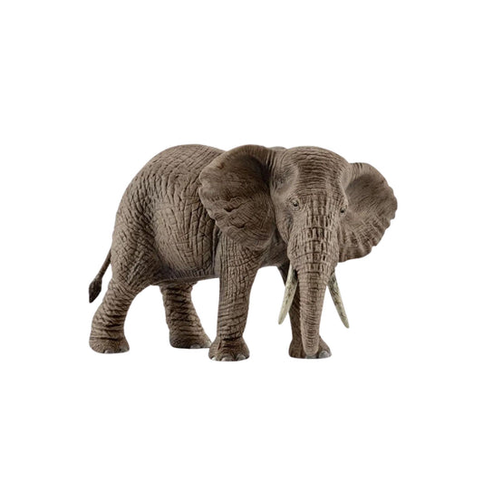 Schleich Dişi Afrika Fili Figürü